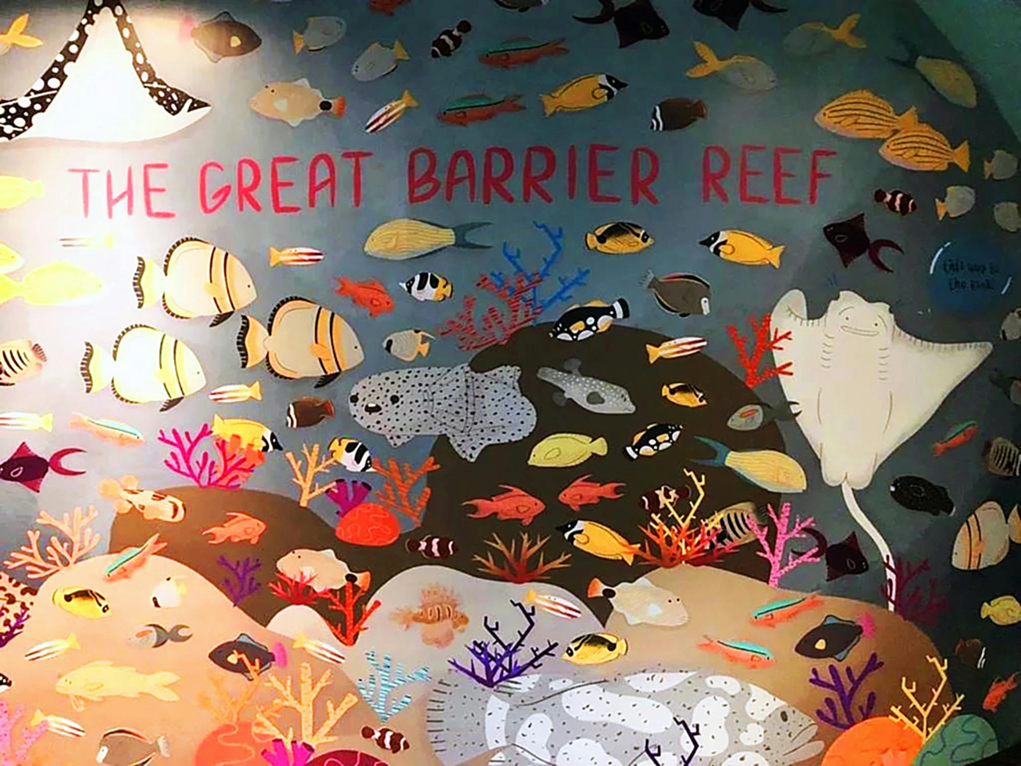 Great Barrier Reef1